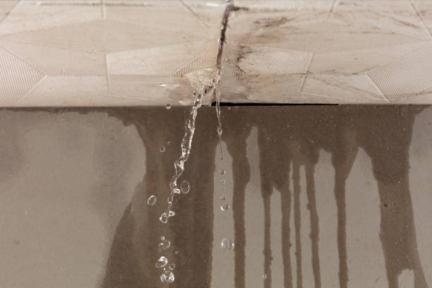 Professional Burst Pipe Cleanup technician working in Celina, TN